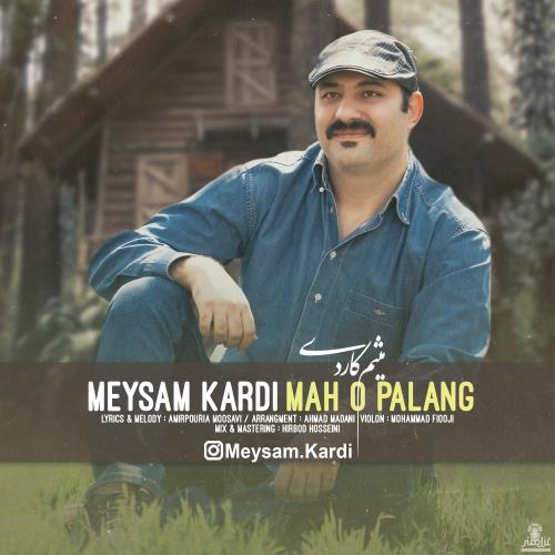 دانلود آهنگ ماه و پلنگ